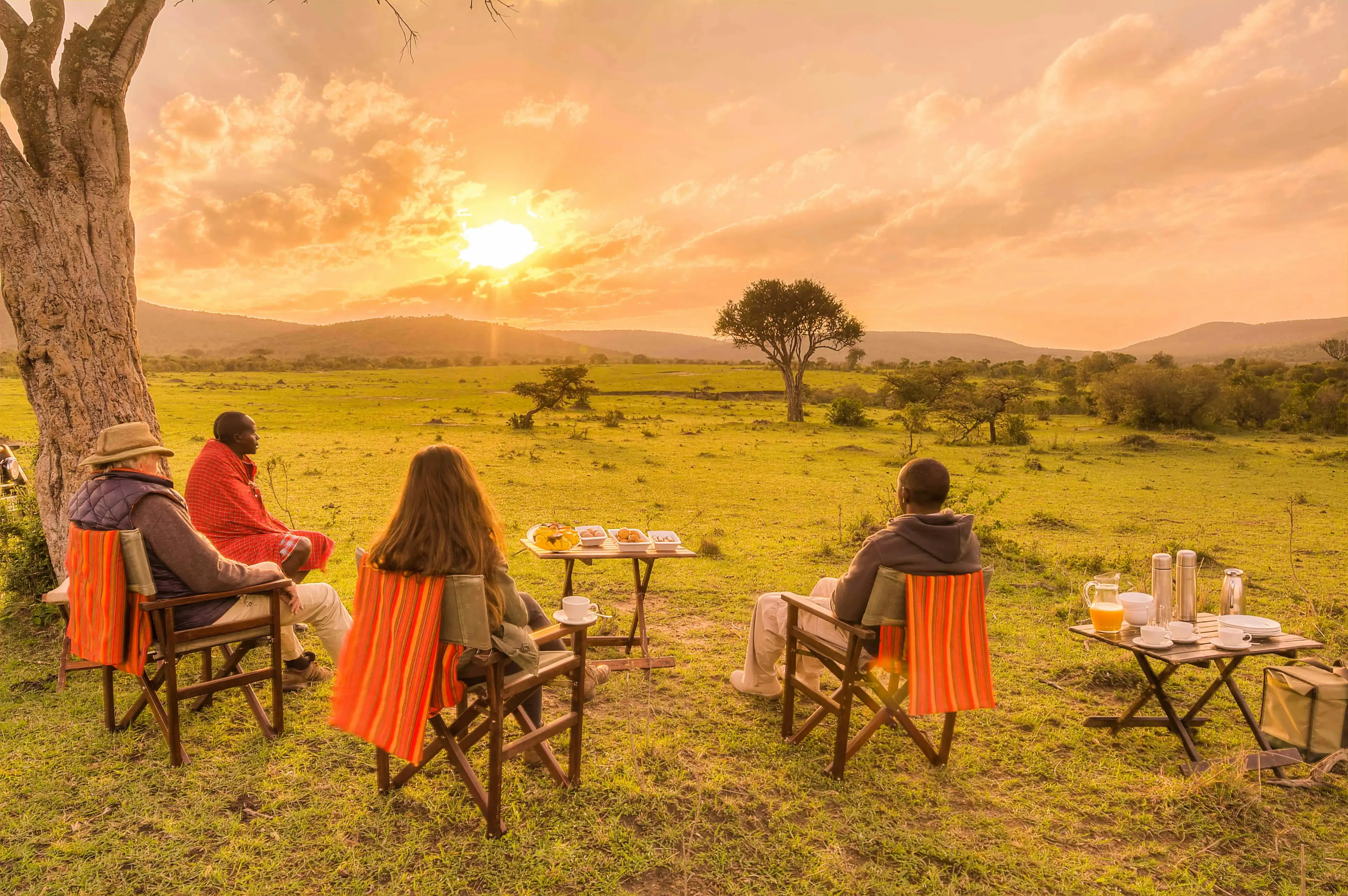 Safari landscape
