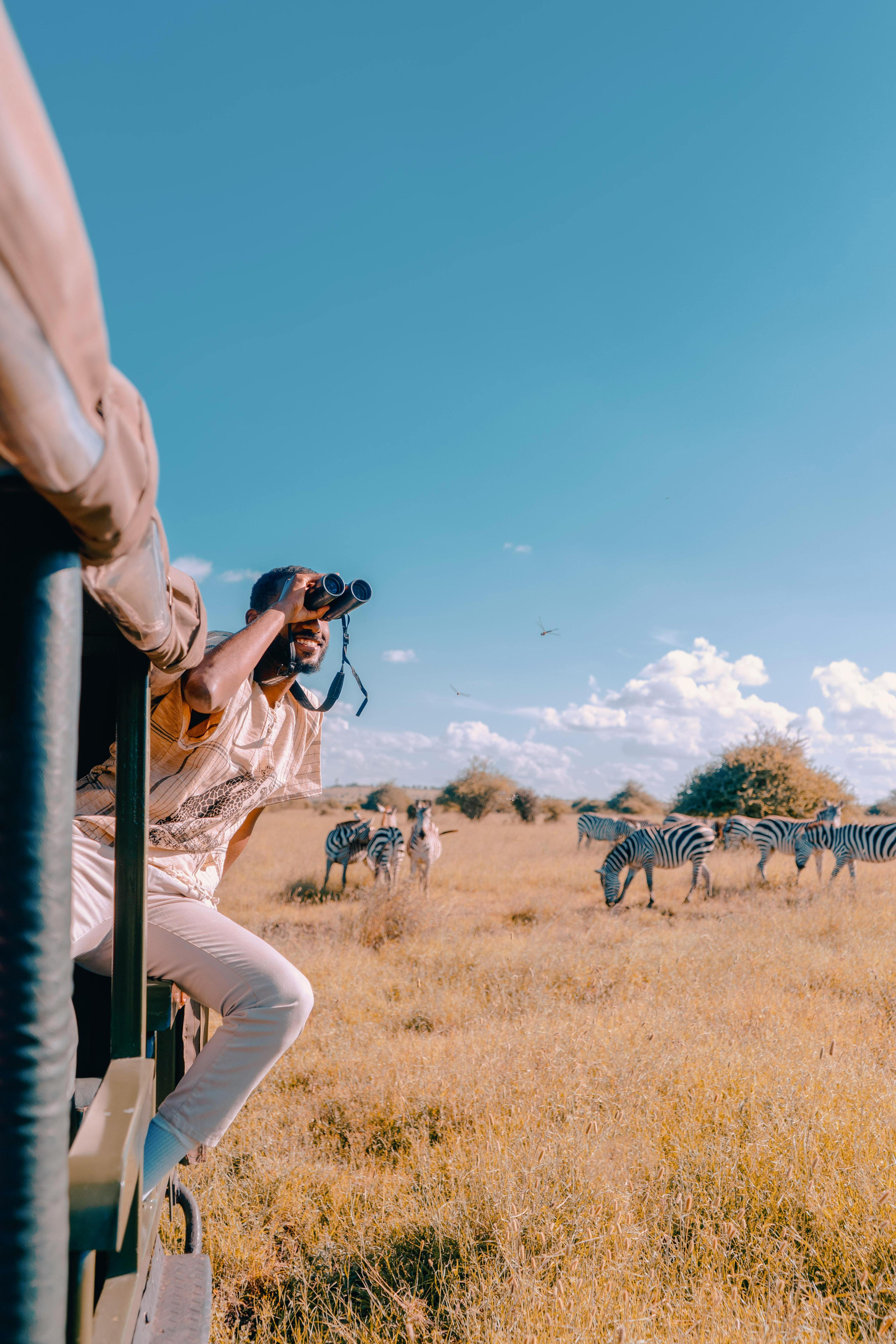 Safari landscape